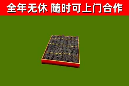 富拉尔基区回收海参
